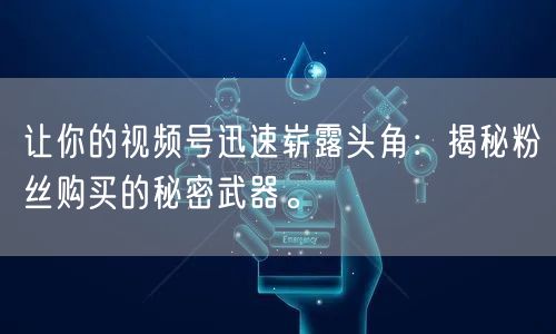 让你的视频号迅速崭露头角:揭秘粉丝购买的秘密武器。