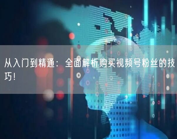 从入门到精通:全面解析购买视频号粉丝的技巧!