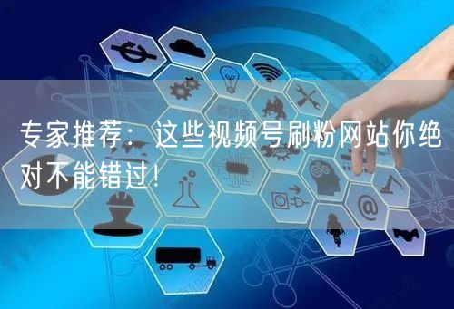 专家推荐：这些视频号刷粉网站你绝对不能错过！