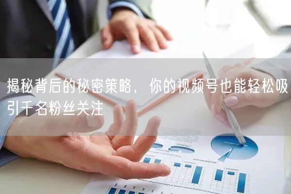 揭秘背后的秘密策略，你的视频号也能轻松吸引千名粉丝关注