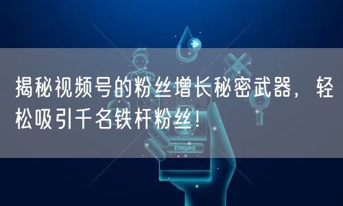 揭秘视频号的粉丝增长秘密武器,轻松吸引千名铁杆粉丝!