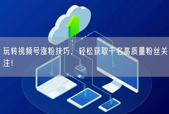 玩转视频号涨粉技巧,轻松获取千名高质量粉丝关注!
