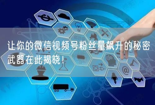 让你的微信视频号粉丝量飙升的秘密武器在此揭晓！